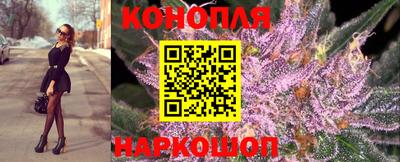 винт Донецк