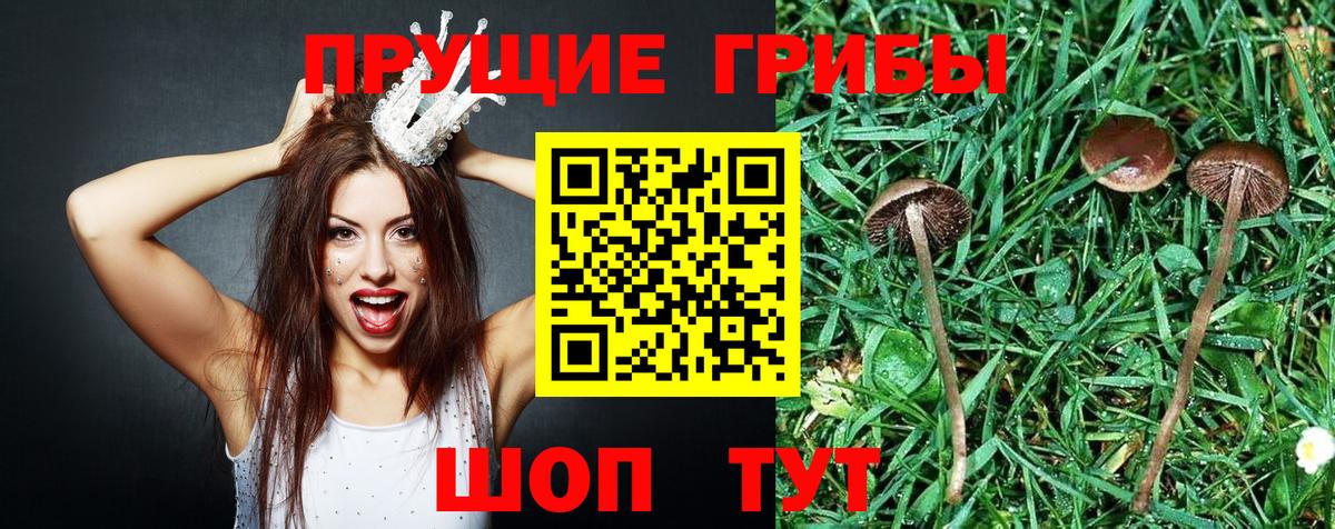 Галлюциногенные грибы прущие грибы  Вход с VPN  Псилоцибиновые грибы ЛСД  Нефтекамск 