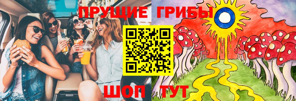 Псилоцибиновые грибы Psilocybe Нефтекамск